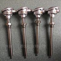 wzp赫(he)斯曼溫(wen)度傳感(gǎn)器